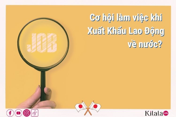 Cơ hội làm việc sau khi tham gia chương trình thực tập sinht tại Nhật
